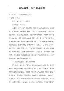 总结大会  防火表态发言