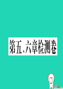 2019春八年级地理下册 第五 六章检测卷习题课件 （新版）新人教版