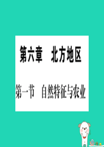 2019春八年级地理下册 第6章 第1节 自然特征与农业习题课件 （新版）新人教版