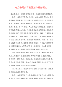 电力公司实习转正工作总结范文