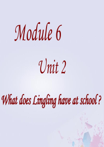 2019版三年级英语下册 Module 6 Unit 2 What does Lingling ha