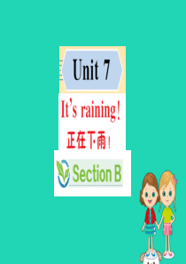 2019版七年级英语下册 Unit 7 It’s raining Section B训练课件 （新版