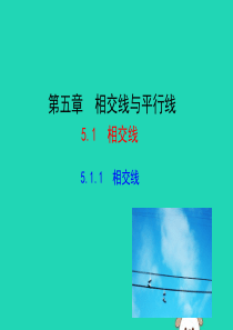 2019版七年级数学下册 第五章 相交线与平行线 5.1 相交线 5.1.1 相交线教学课件1 （新