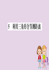 2019版七年级数学下册 第四章 三角形 4.5 利用三角形全等测距离训练课件 （新版）北师大版