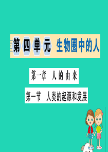 2019版七年级生物下册 第四单元 生物圈中的人 第一章 人的由来 1 人类的起源和发展训练课件 新