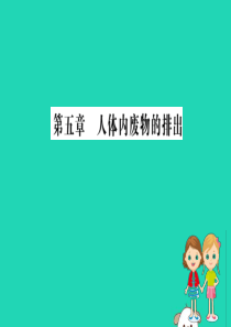 2019版七年级生物下册 第四单元 生物圈中的人 第五章 人体内废物的排出训练课件 新人教版