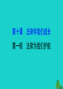 2019版七年级道德与法治下册 第四单元 走进法治天地 第十课 法律伴我们成长 第1框法律为我们护航