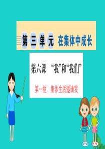 2019版七年级道德与法治下册 第三单元 在集体中成长 第六课 我和我们 第1框 我与集体共成长习题