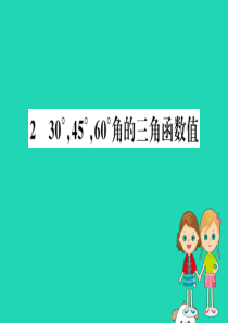 2019版九年级数学下册 第一章 直角三角形的边角关系 1.2 30°，45°，60°角的三角函数值