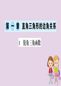 2019版九年级数学下册 第一章 直角三角形的边角关系 1.1 锐角三角函数训练课件 （新版）北师大