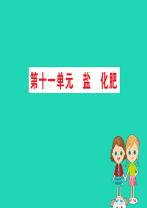 2019版九年级化学下册 期末抢分必胜课 第十一单元 盐 化肥课件 （新版）新人教版