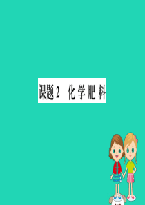 2019版九年级化学下册 第十一单元 盐 化肥 11.2 化学肥料训练课件 （新版）新人教版