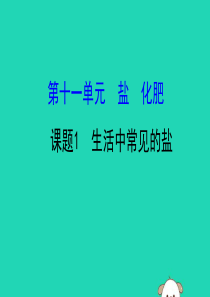 2019版九年级化学下册 第十一单元 盐 化肥 11.1 生活中常见的盐教学课件 （新版）新人教版