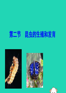 2019版八年级生物下册 第七单元 生物圈中生命的延续和发展 第一章 生物的生殖和发育 第二节 昆虫