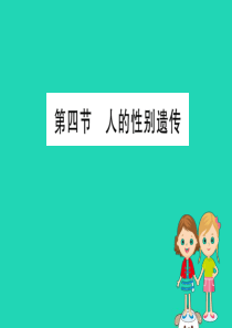 2019版八年级生物下册 第七单元 生物圈中生命的延续和发展 第二章 生物的遗传和变异 4 人的性别