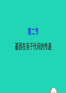 2019版八年级生物下册 第七单元 生物圈中生命的延续和发展 第二章 生物的遗传和变异 2 基因在亲