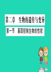 2019版八年级生物下册 第七单元 生物圈中生命的延续和发展 第二章 生物的遗传和变异 1 基因控制