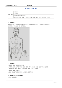 中医执业医师考试辅导-针灸学第二十单元任脉、腧穴