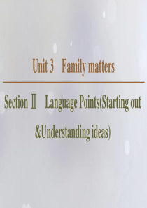 2019-2020学年新教材高中英语 Unit 3 Family matters Section Ⅱ