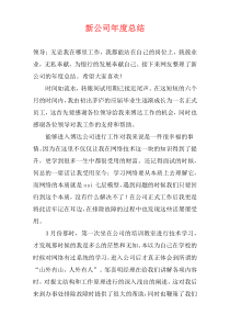 新公司年度总结