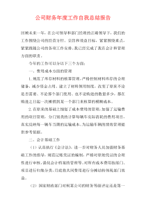 公司财务年度工作自我总结报告