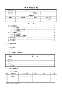 战略行动方案新模版