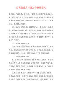 公司业务员年度工作总结范文