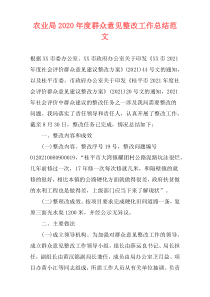 农业局2021年度群众意见整改工作总结范文