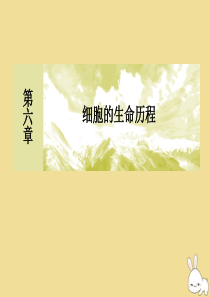 2019-2020学年新教材高中生物 第6章 细胞的生命历程 6-3 细胞的衰老和死亡课件 新人教版