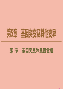 2019-2020学年新教材高中生物 第5章 基因突变及其他变异 第1节 基因突变和基因重组课件 新