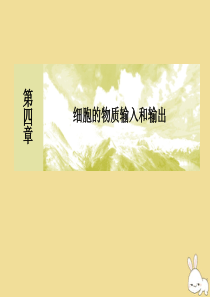 2019-2020学年新教材高中生物 第4章 细胞的物质输入和输出章末整合提升课件 新人教版必修1