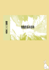 2019-2020学年新教材高中生物 第3章 细胞的基本结构章末整合提升课件 新人教版必修1