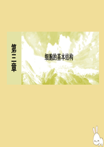 2019-2020学年新教材高中生物 第3章 细胞的基本结构 3-2-1 细胞器之间的分工课件 新人