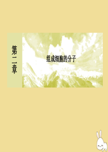 2019-2020学年新教材高中生物 第2章 组成细胞的分子章末整合提升课件 新人教版必修1