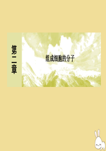 2019-2020学年新教材高中生物 第2章 组成细胞的分子 2-4 蛋白质是生命活动的主要承担者课