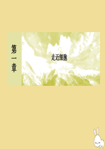 2019-2020学年新教材高中生物 第1章 走近细胞 1-2 细胞的多样性和统一性课件 新人教版必