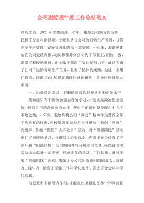 公司副经理年度工作总结范文