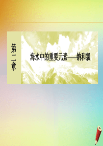 2019-2020学年新教材高中化学 第二章 海水中的重要元素——钠和氯 第一节 钠及其化合物 第一