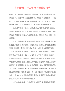 公司新员工个人年度自我总结报告