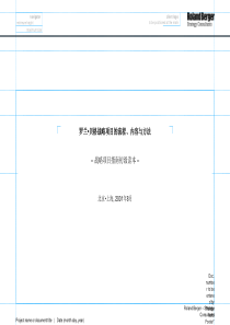 战略项目的流程、内容与方法(1)