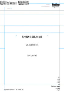 战略项目的流程、内容与方法(3)