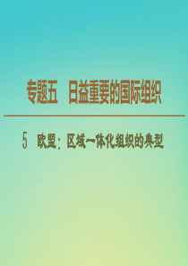 2019-2020学年高中政治 专题5 5 欧盟：区域一体化组织的典型课件 新人教版选修3