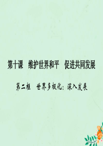 2019-2020学年高中政治 第4单元 当代国际社会 第10课 维护世界和平 促进共同发展 第2框