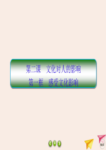 2019-2020学年高中政治 第1单元 文化与生活 2.1 感受文化影响课件 新人教版必修3