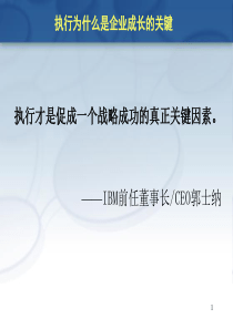 执行才是促成一个战略成功的真正关键因素(PPT 71页)