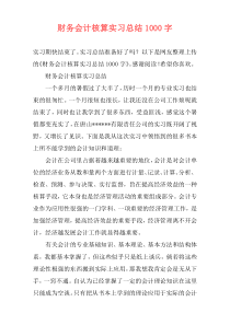 财务会计核算实习总结1000字