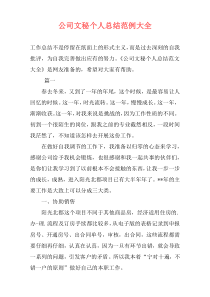 公司文秘个人总结范例大全