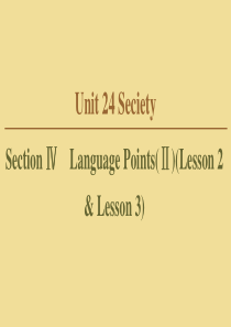 2019-2020学年高中英语 Unit 24 Seciety Section Ⅳ Language