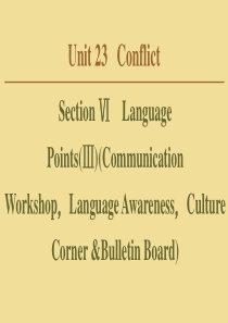 2019-2020学年高中英语 Unit 23 Conflict Section Ⅵ Languag