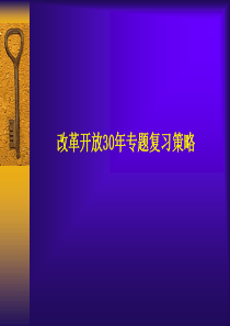 改革开放30年专题复习策略